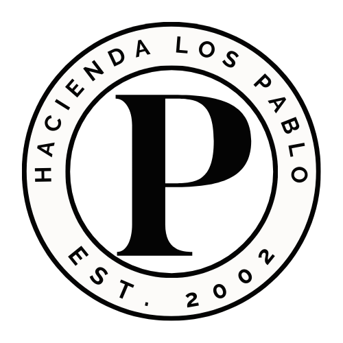 PARENTS Excursion + Pizza Combo  MASIS School May 9th, 2025 9:00am-11:00am